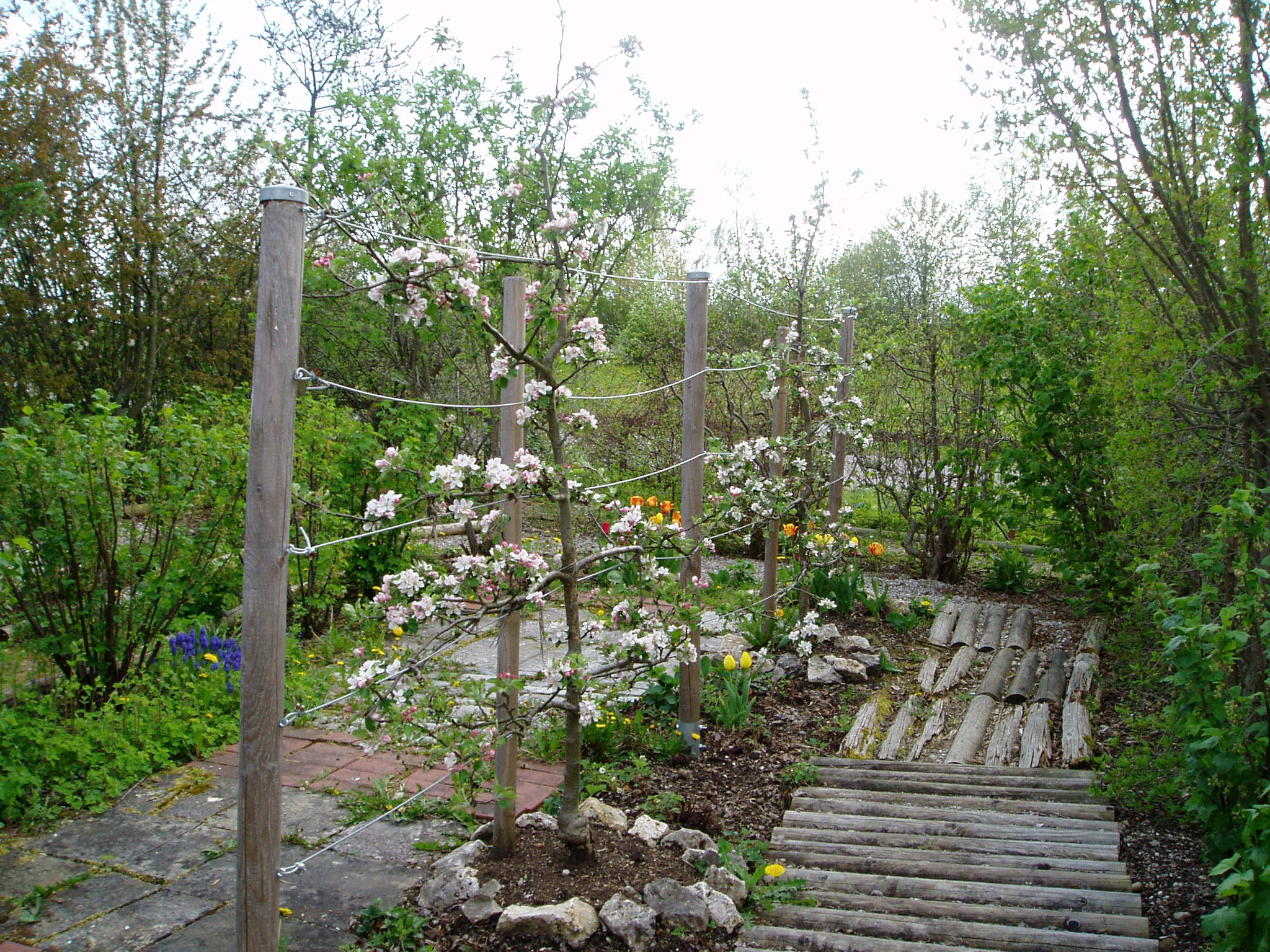 P5020061